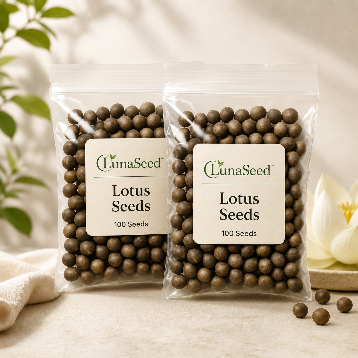 LunaSeed