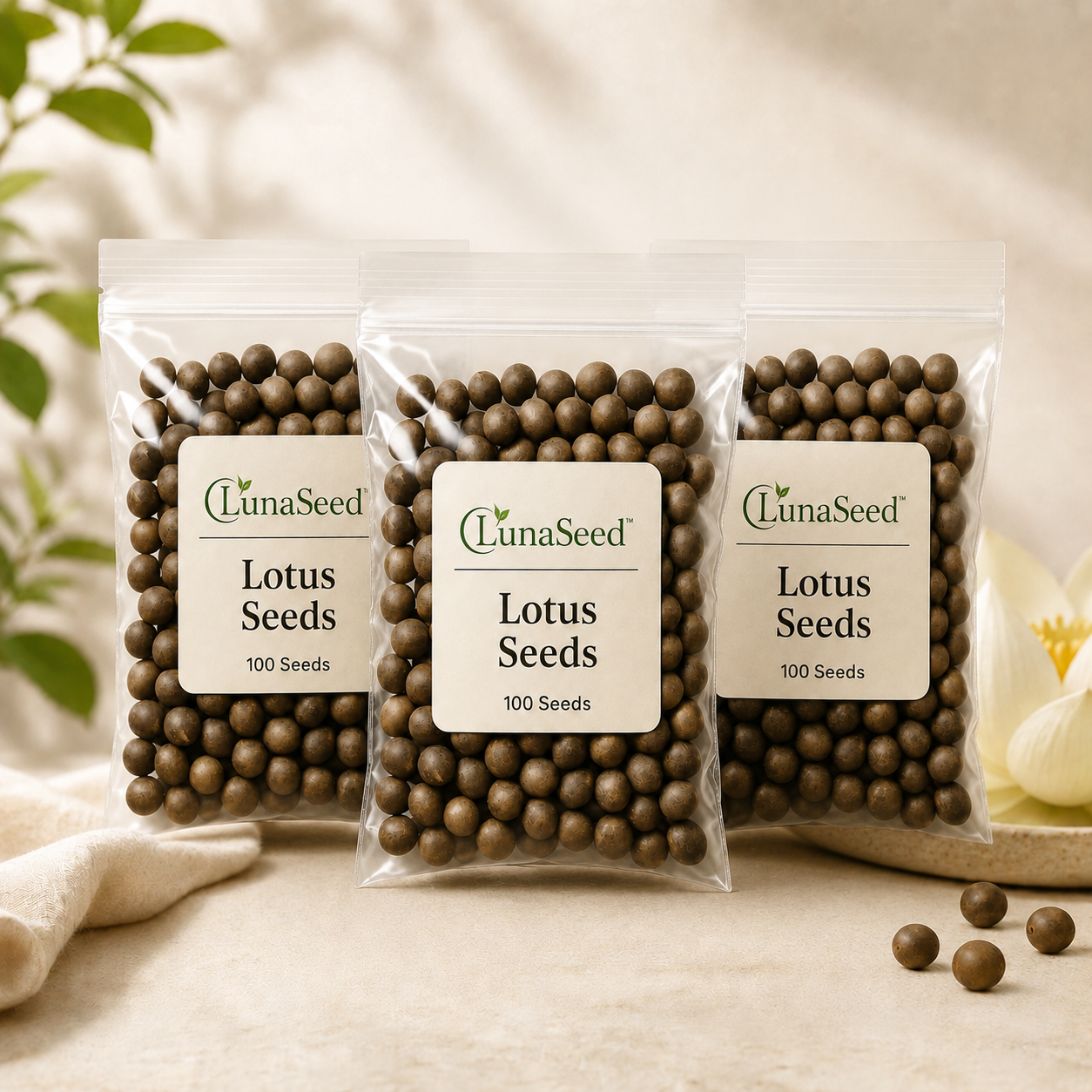LunaSeed