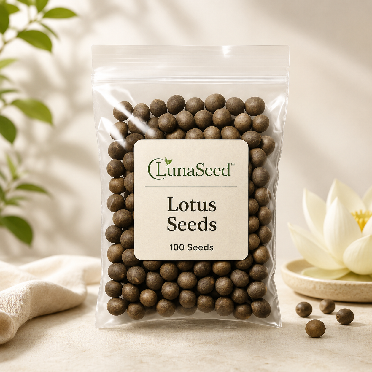 LunaSeed